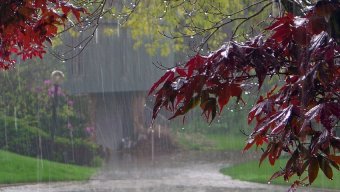Sabah Bakıda qısamüddətli yağış gözlənilir – Rayonlarda isə...