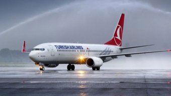 İstanbul aeroportunda qaçaq pişik təyyarənin uçuşunu pozdu