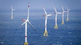 Xəzərdə külək enerjisi: strateji layihə nələr vəd edir?