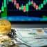 Günün kriptovalyuta göstəriciləri - "XRP" qiymətdə artım göstərdi