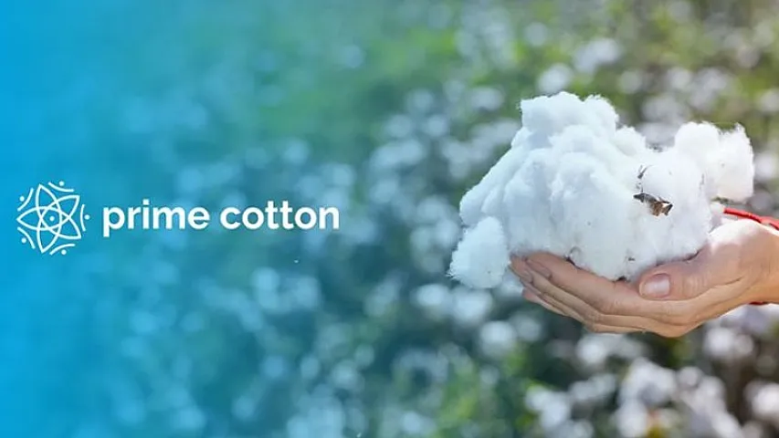 “Prime Cotton” nun ixrac gəlirləri 63,2 faiz artıb