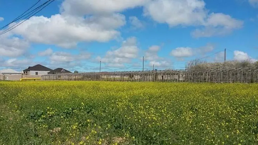 Pay torpaqları birləşdirilir 