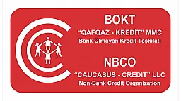 "Qafqaz-Kredit" BOKT-un aktivləri və kredit portfeli azalıb