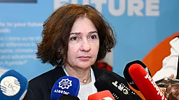"Dövlət qurumları süni intellekti tənzimləyən qərarlar qəbul etməlidir"