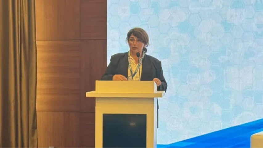 Şəfəq Mehrəliyeva: "Süni intellekt yeni mənəvi çağırışlar yaradır"