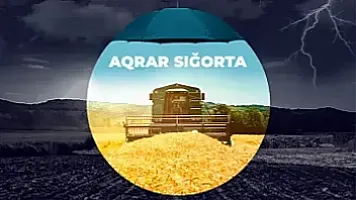 "Aqrar Sığorta"nın hər 100 manat yığımına düşən ödənişlər 