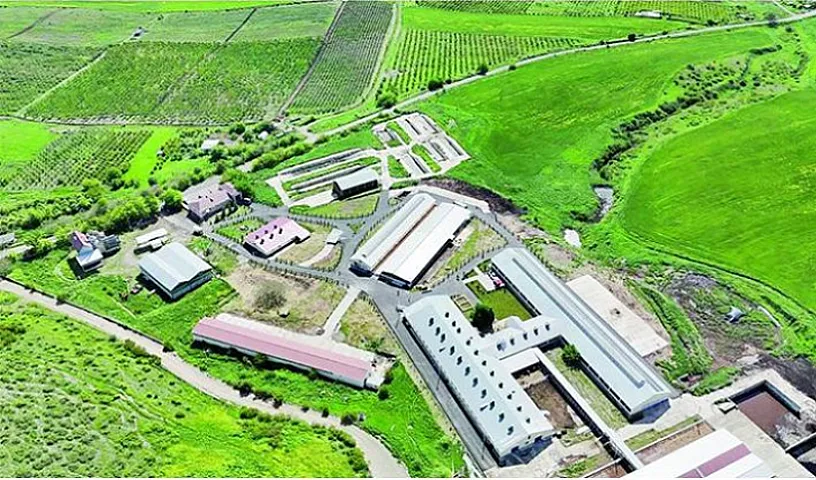 Xocalıya köçənlərə 5 hektar torpaq veriləcək 