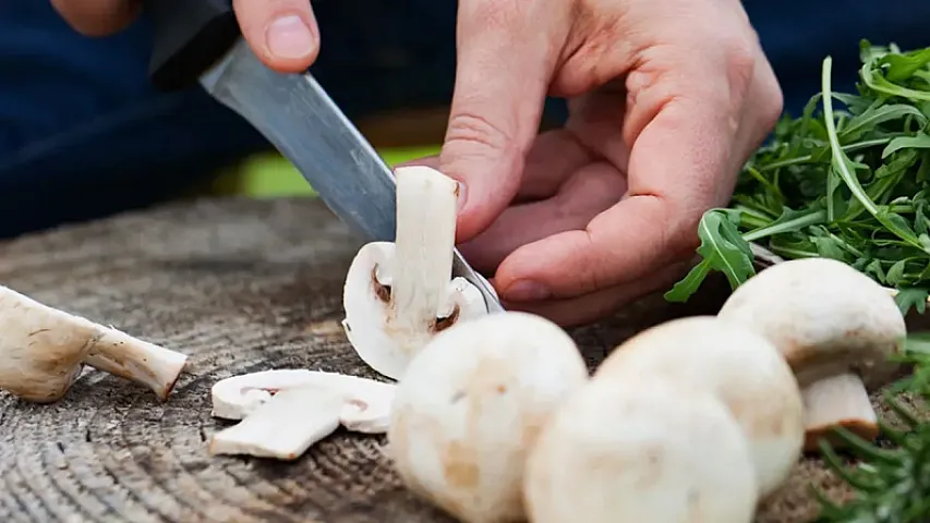 Венгрия и Франция стали основными поставщиками грибного мицелия в Азербайджан