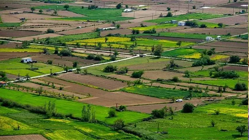 Dekabrın 10-da torpaq müsabiqə və hərracları keçiriləcək