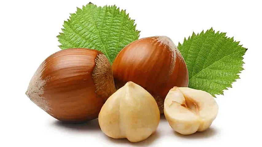 Fındıq ixracı Azərbaycana nə qədər qazandırıb?