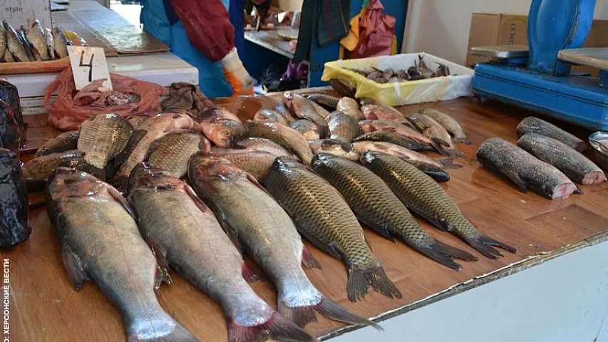 Рост интереса к рыбе: как болезнь чумы меняет рынок мясных и рыбных продуктов