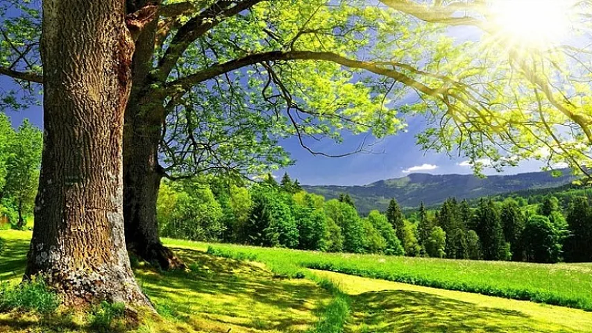 Sabahın hava proqnozu