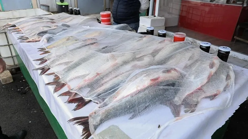 AQTA "Kəndli" bazarında nöqsanlar aşkarlayıb