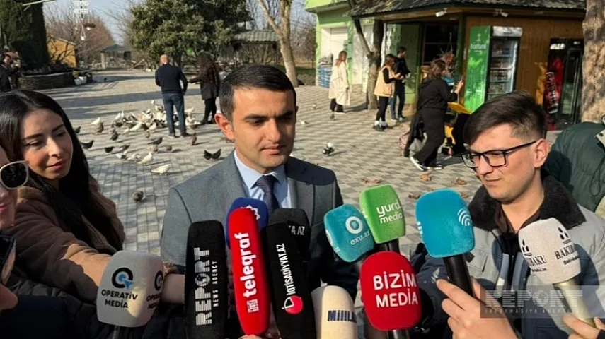 Şahin Məlikov: "Dövlət Turizm Agentliyinin qiymət məsələsinə hər hansı təsir mexanizmi yoxdur"