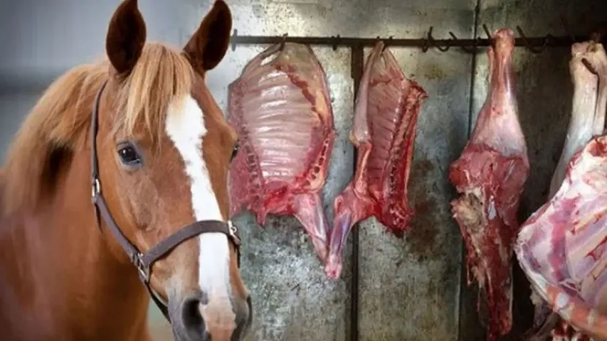 At ətini keyfiyyətli mal əti kimi satışa çıxardılar - 2 nəfər saxlanıldı