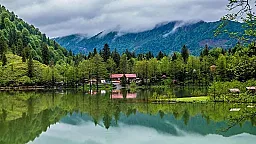 На освобожденных территориях создают новый национальный парк: определены районы охвата