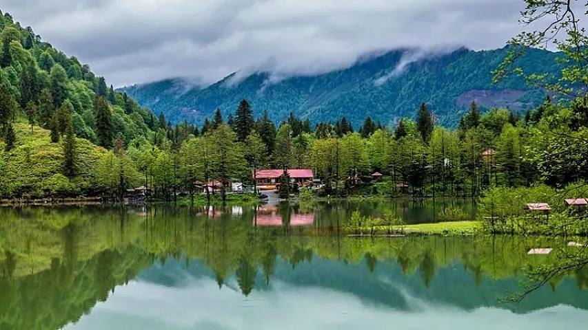 На освобожденных территориях создают новый национальный парк: определены районы охвата