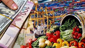 Qeyri-neft sektorundan vergi daxilolmaları artdı - İqtisadi canlanma, yoxsa vergi yükü?