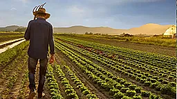 Фермеры обеспечили защиту своих посевов страховкой на 12 миллионов