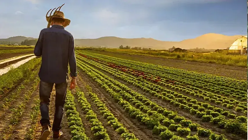 Fermerlər bitkilərini 12 milyona sığortalayıblar