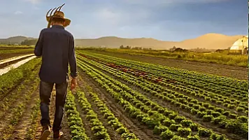 Фермеры обеспечили защиту своих посевов страховкой на 12 миллионов