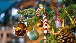 Подорожание ёлок к Новому году: что и почём в этом сезоне?