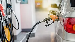 Утверждены новые формы бланков лицензий на объекты автозаправки и газоснабжения