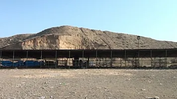 Tovuzda heyvan bazarı nə vaxt açılacaq? 