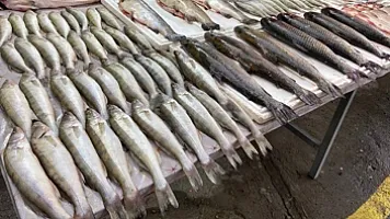 Рыба на новогоднем столе в Баку подорожала: 