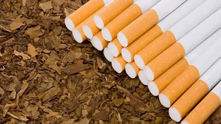 Məşhur tütün şirkəti 39 milyonluq məhsul ixrac edib 