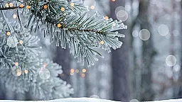 В большинстве регионов Азербайджана наблюдаются снег и сильный ветер