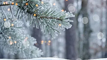 В большинстве регионов Азербайджана наблюдаются снег и сильный ветер