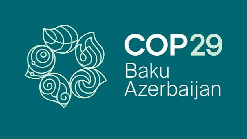 В Азербайджане ликвидирована COP29 Азербайджанская операционная компания