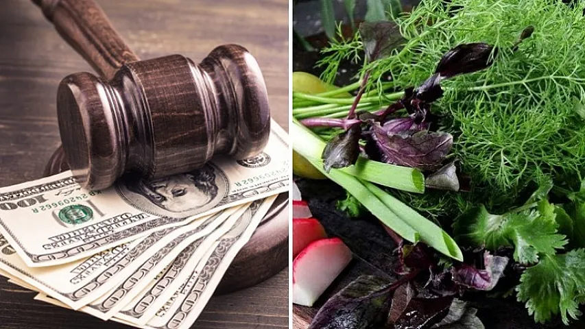 Azərbaycanda şirkət "təzə göyərti"yə görə cərimələndi - 2 milyon borcu üzə çıxdı