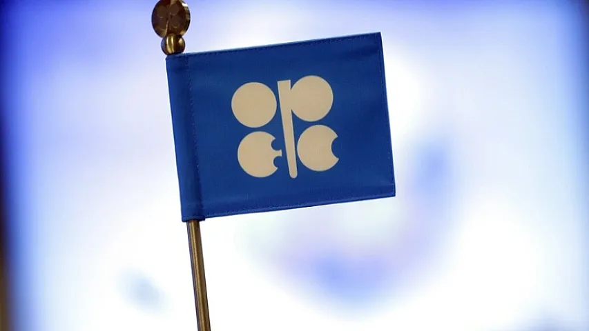 Очередное заседание мониторингового комитета OPEC+ пройдет 1 февраля