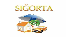 Стало известно, по каким видам страхования компании выплатили меньше всего средств