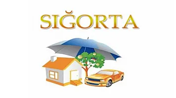 Стало известно, по каким видам страхования компании выплатили меньше всего средств