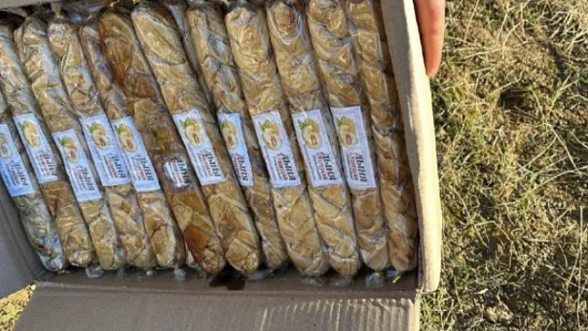 Bu ölkədən Azərbaycana gətirilən qurudulmuş yemiş və halvalarda göbələk kifi aşkarlanıb