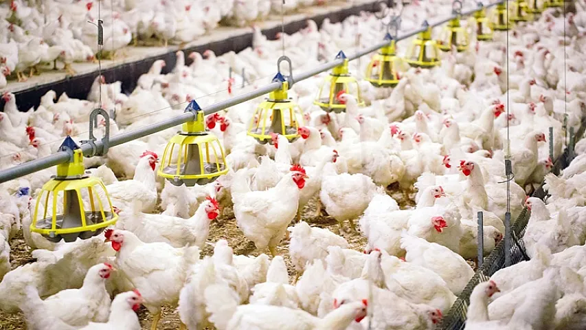 "Səba" Ağsudakı torpağın alqı-satqısı ilə bağlı müzakirə aparacaq