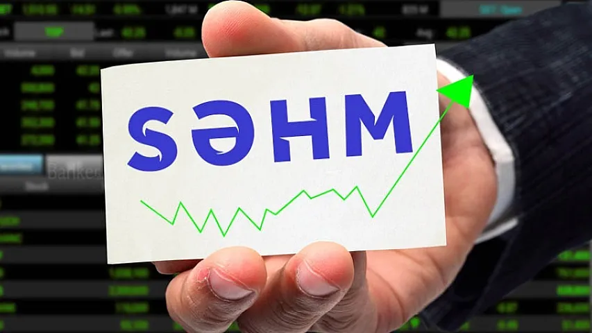 Şirkətlərin səhmlərini satışa çıxarmaqda maraqları nədir?