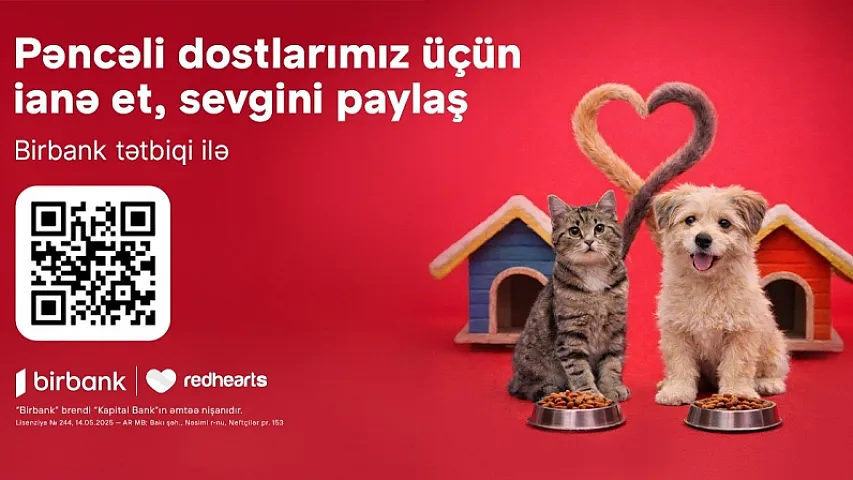 “Pəncəli Ürəklər” sahibsiz heyvanlara dəstək aksiyası uğurla davam edir