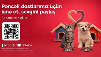 “Pəncəli Ürəklər” sahibsiz heyvanlara dəstək aksiyası uğurla davam edir