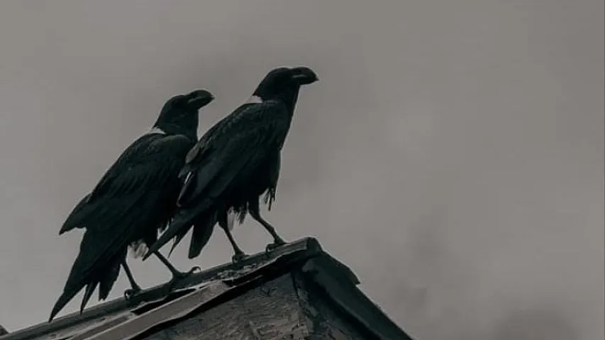 Siz öləndən sonra digital ayaq iziniz nə olur?