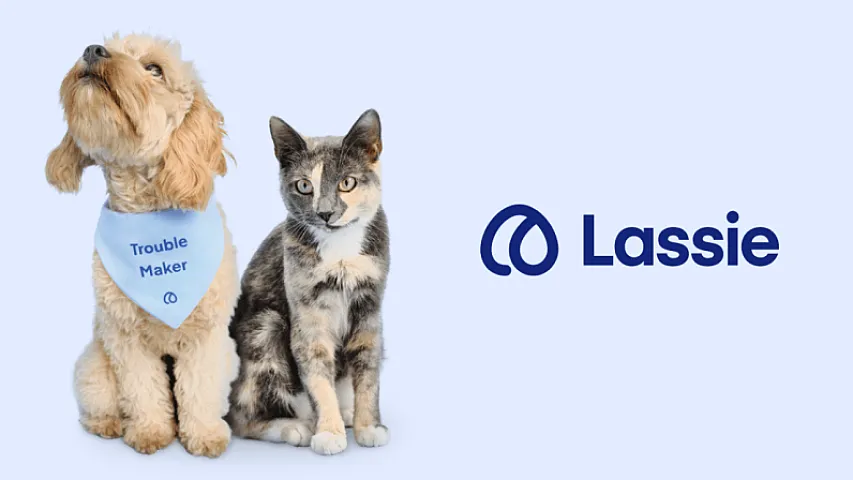 “Lassie” 75 milyon dollar investisiya alıb