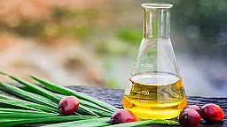 Ölkəyə kiloqramı 3 manatdan palma yağı gətirilib