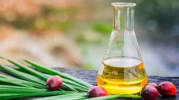 Ölkəyə kiloqramı 3 manatdan palma yağı gətirilib