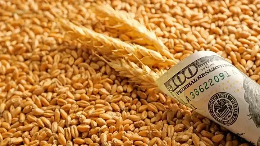 Azərbaycana idxal olunan buğda dən-dən artır