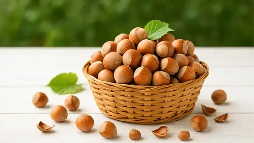 Xaricə meşə fındığı satışı 29 milyon dollardan çox qazandırıb