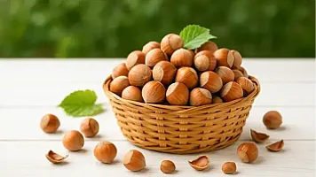 Xaricə meşə fındığı satışı 29 milyon dollardan çox qazandırıb