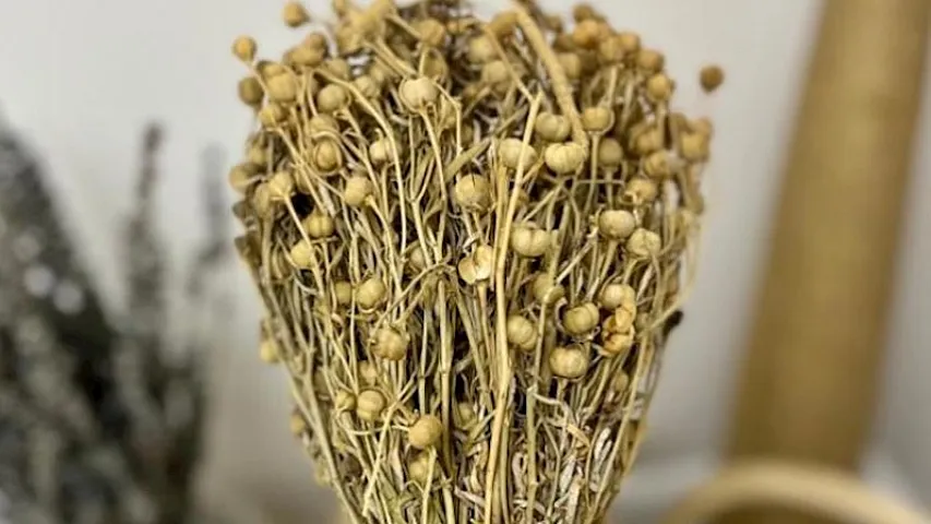 Xaricə gedərkən özləri ilə üzərlik aparanlara xəbərdarlıq